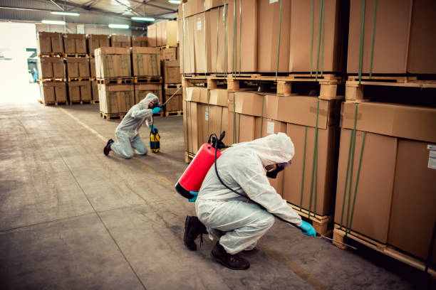 Best Bed Bug Extermination  in Greenville, PA